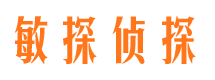 富拉尔基侦探公司